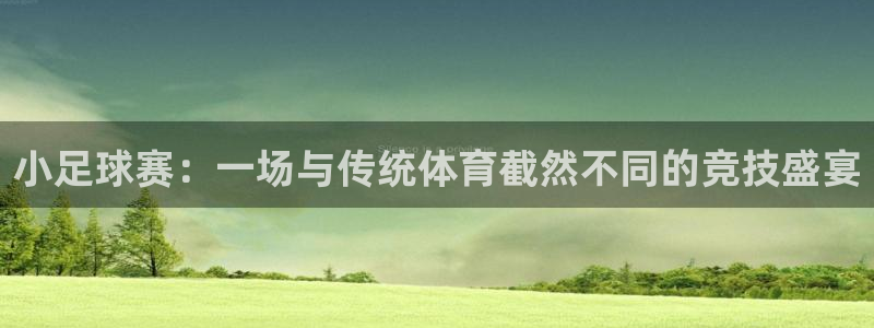 意昂4主管：小足球赛：一场与传统体育截然不同的竞技盛宴