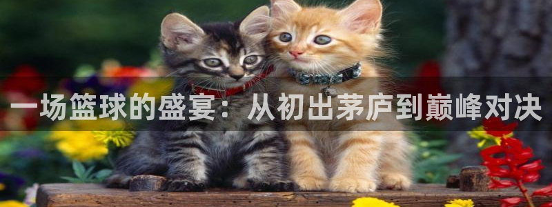 意昂4代理注册登陆