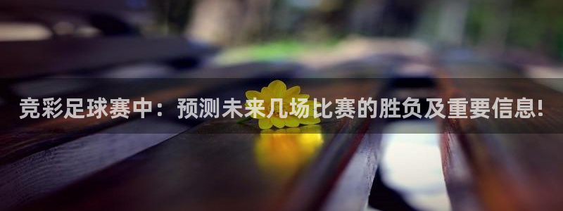 意昂4娱乐平台：竞彩足球赛中：预测未来几场比赛的胜负及重要信