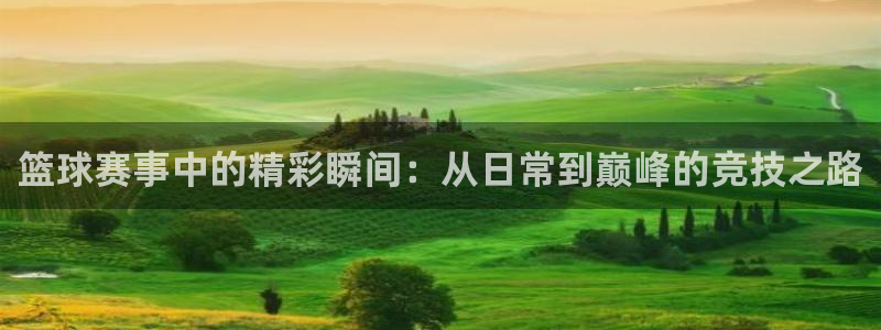 意昂4注册地址：篮球赛事中的精彩瞬间：从日常到巅峰的竞技之路