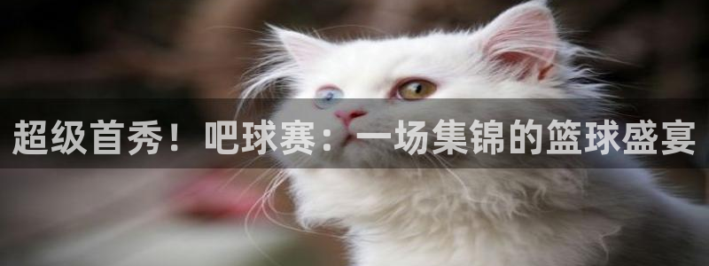 意昂4主管：超级首秀！吧球赛：一场集锦的篮球盛宴
