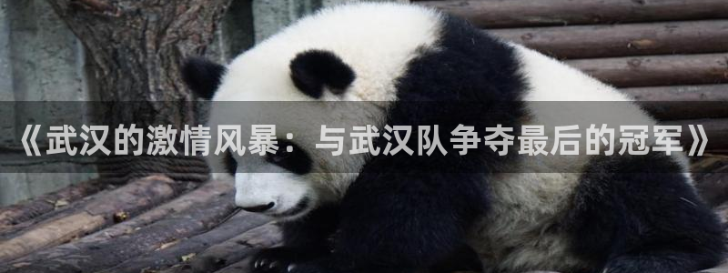 意昂4主管：《武汉的激情风暴：与武汉队争夺最后的冠军》