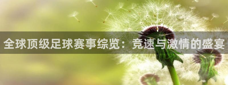意昂4娱乐平台：全球顶级足球赛事综览：竞速与激情的盛宴