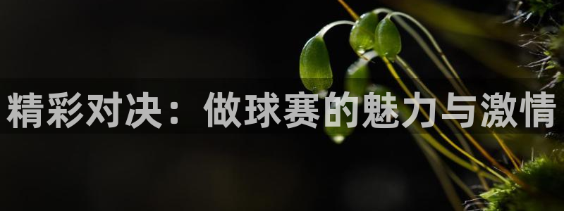 意昂4官网：精彩对决：做球赛的魅力与激情