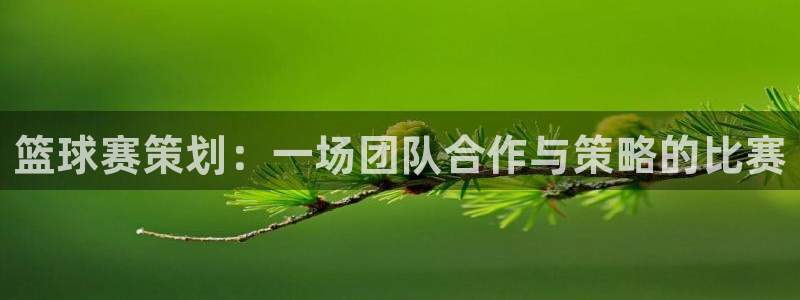 凯捷足球俱乐部：篮球赛策划：一场团队合作与策略的比赛